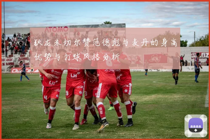 狄龙米切尔赞范德彪与麦丹的身高优势与打球风格分析